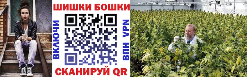 Где найти наркотики Сосновый Бор ГАШ APVP МЕФ