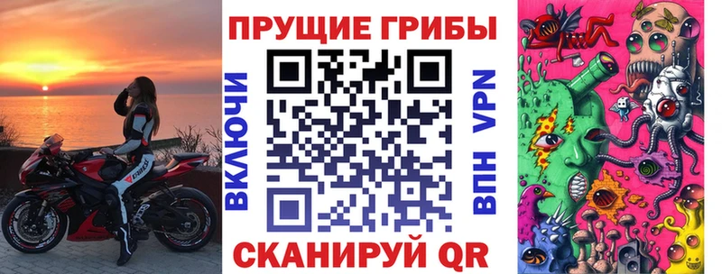 Псилоцибиновые грибы Psilocybine cubensis Сосновый Бор