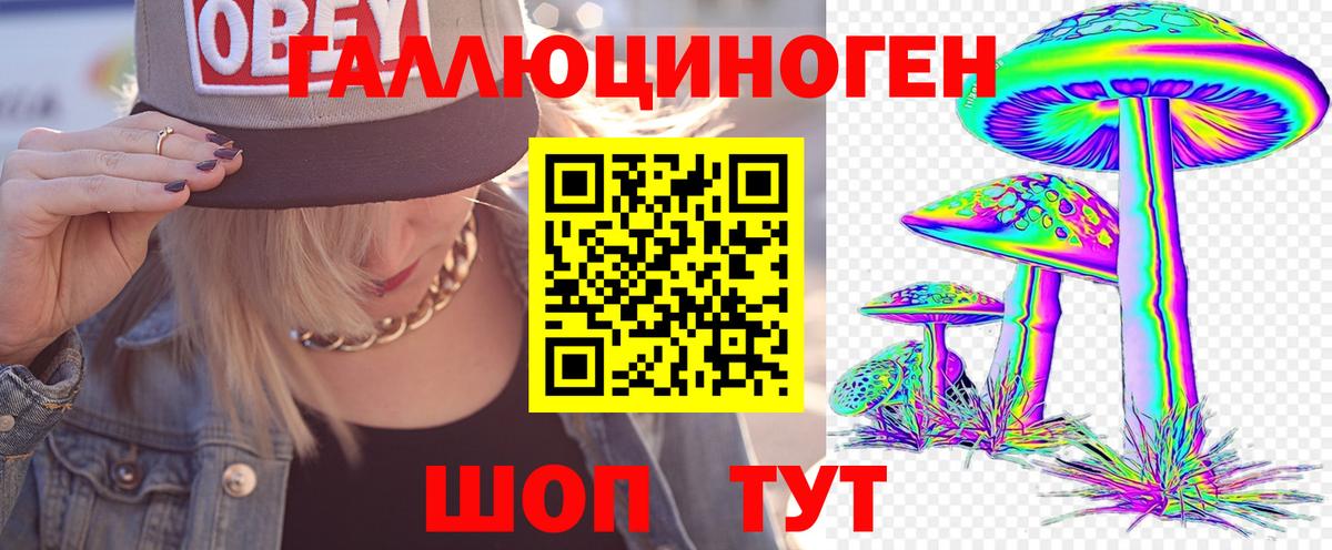 Галлюциногенные грибы мицелий Сосновый Бор